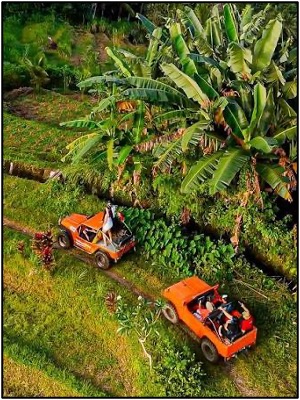Jeep Tour