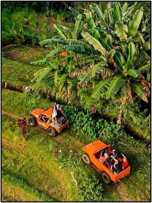 Jeep Tour